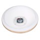 120W LED Ceiling Lamp Bluetooth Music Speaker Dimmable RGB Light Remote Control