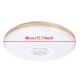 120W LED Ceiling Lamp Bluetooth Music Speaker Dimmable RGB Light Remote Control