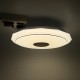 Bluetooth WIFI LED Ceiling Light 256 RGB Music Speeker Dimmable Lamp APP Remote