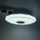 Bluetooth WIFI LED Ceiling Light 256 RGB Music Speeker Dimmable Lamp APP Remote