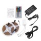 2*5M Waterproof DC12V LED Strip Light 3528 RGB Color Home Lamp+IR Remote Control+US Plug Power Adapter Christmas Decorations Clearance Lights