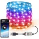 Smart for Alexa WiFi LED RGB Fairy String Light USB Waterproof Garden Decor Lamp