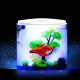 5L USB LED Small Fish Tank 180° Open Acrylic Half Moon Mini Aquarium Decor