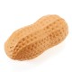 Squishy Peanut 14cm Slow Rising Scented Collection Gift Decor Soft Squeeze Toy