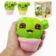 Squishy Cactus Plant 11cm Soft Slow Rising With Packaging Collection Gift Decor Toy