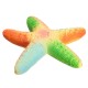 Squishy Starfish 14cm Soft Slow Rising With Packaging Collection Gift Decor Toy