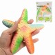 Squishy Starfish 14cm Soft Slow Rising With Packaging Collection Gift Decor Toy