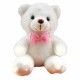 Girls Baby Cute Soft Stuffed Plush Teddy Bear Toy with LED Light Up for Kids Xmas Gift