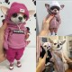 Handmade Doll Resin Standing Puppy Plush Toy For Ornaments Furniture Decorations Fashionable Animal Clay Doll