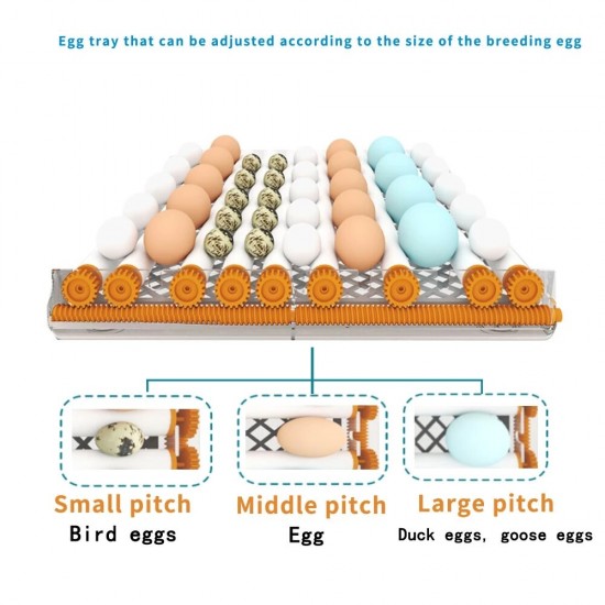 6 Eggs Incubator Egg Incubator Fully Automatic Incubator Household Brooder Temperature Controller with Automatic Turner