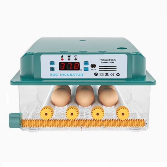 6 Eggs Incubator Egg Incubator Fully Automatic Incubator Household Brooder Temperature Controller with Automatic Turner