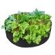 50/90 Gallon Planter Flower Grow Bag Vegetable Box Garden Planting Non-woven V