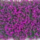 40x60cm DIY Artificial Plant Wall Plastic Home Garden TV Background Shop The Mall for Home Decoration Green Carpet Turf Jungle Party