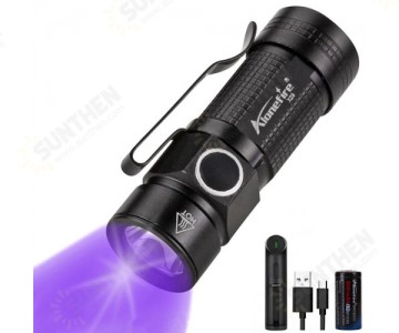 Black Light Flashlights