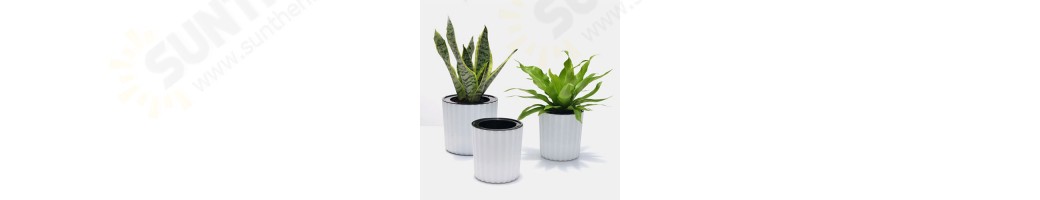 Garden Pots & Planters