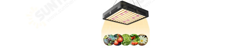 LED Grow Light