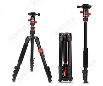 Tripods & Supports