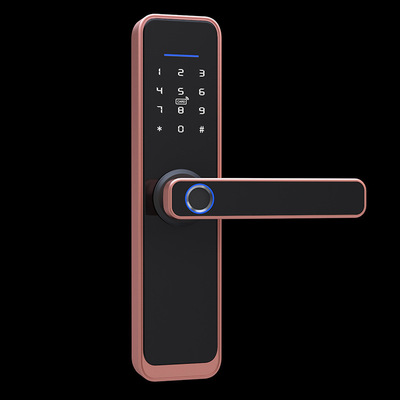 Tuya-WiFi-Smart-Lock-Core-Cylinder-Intelligent-Security-Door-Lock-Bluetooth-Double-Lock-Body-Encrypt-1858612-6