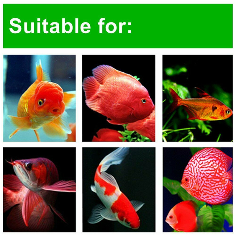 Intelligent-Timing-Fish-Feeder-Adjustable-Automatic-Aquarium-Timer-Setting-12h24h-Auto-Fish-Tank-Pon-1590256-5