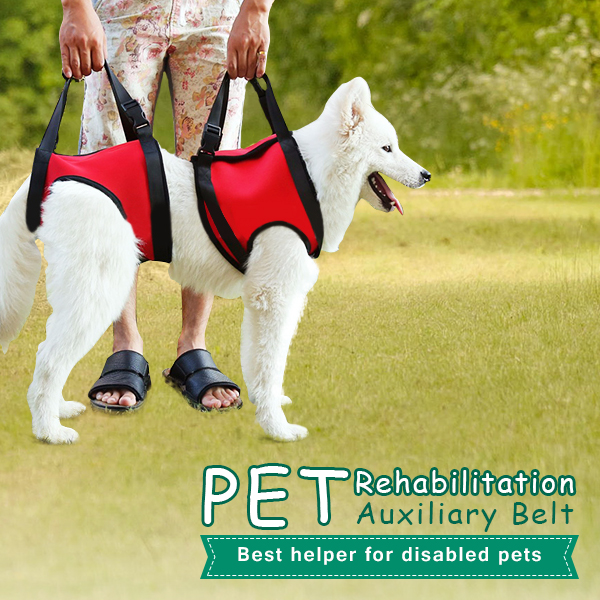 Pet-Auxiliary-Belt-Dog-Harness-Carriers-Assist-Sling-Portable-Lift-Security-Support-Rehabilitation-1040410-2