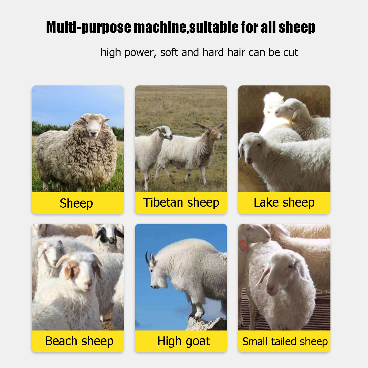 1200W-Electric-Farm-Supplies-Sheep-Goat-Shears-Animal-Shearing-Grooming-Clipper-1691296-2