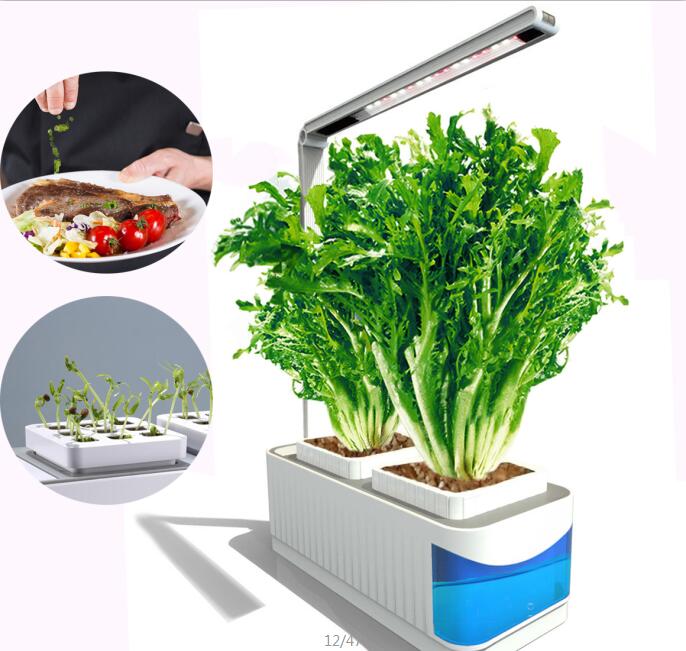 Blue-Intelligent-Plant-Lamp-8W-Home-And-Office-Indoor-Planting-European--American--British-Regulatio-1891149-4