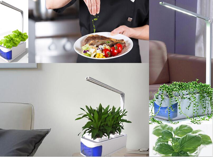 Blue-Intelligent-Plant-Lamp-8W-Home-And-Office-Indoor-Planting-European--American--British-Regulatio-1891149-5