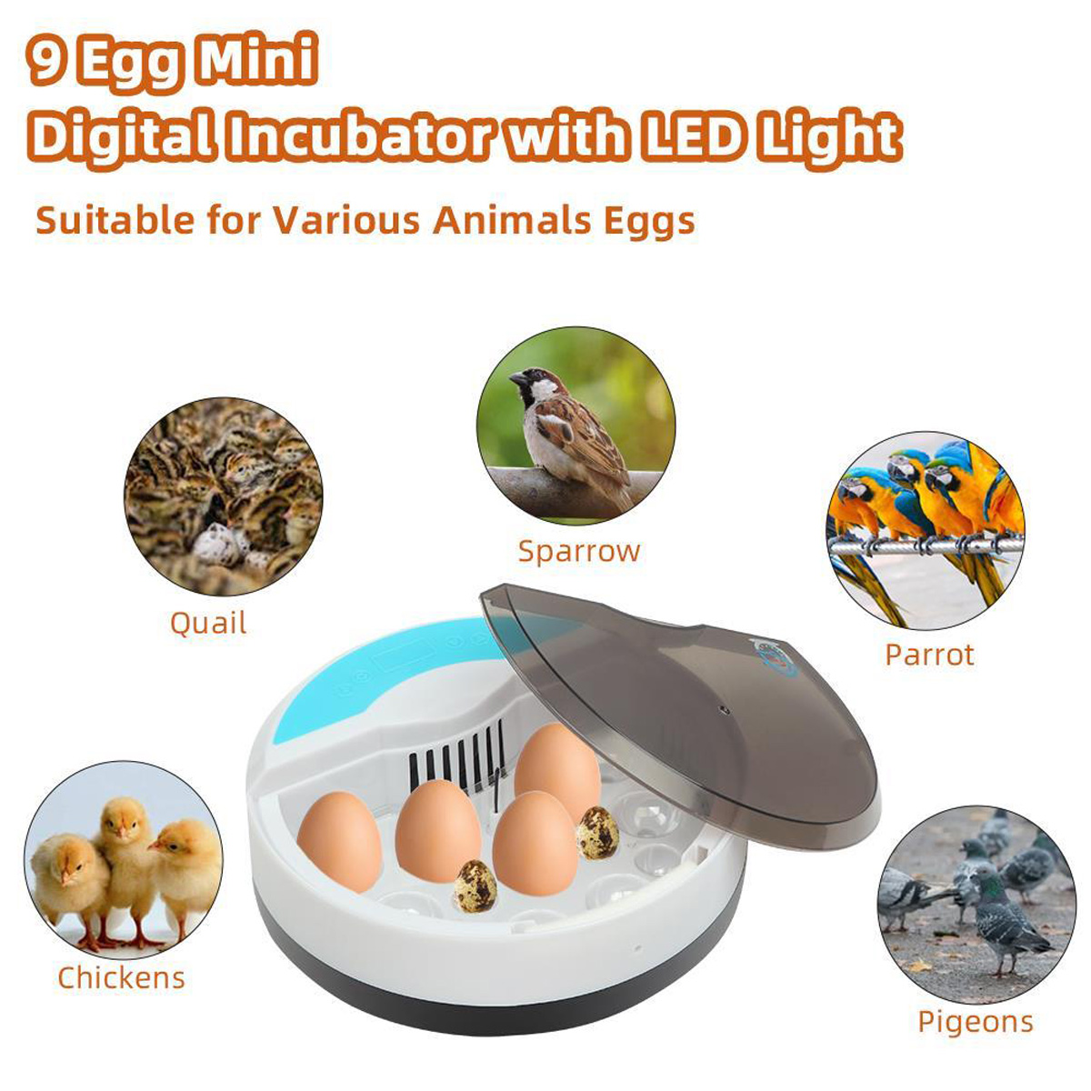 Digital-Automatic-Incubator-9-Eggs-Chicken-LED-Light-Hatcher-Turning-Temperature-Incubator-1733338-2