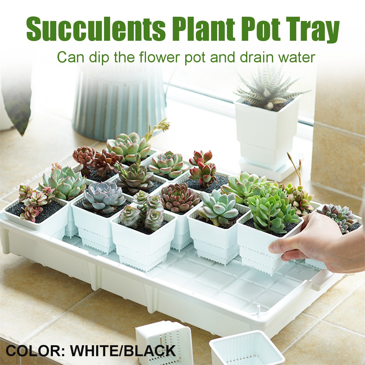 PP-Plant-Tray-Succulents-Seedling-Drain-Balcony-Growing-Holder-Nursery-Garden-Decorations-1581228-1
