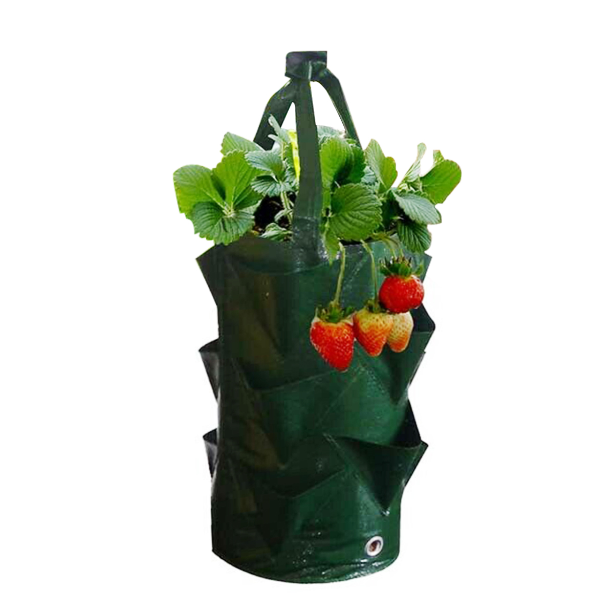 3-Gallon-Vegetable-Planting-Bag-Strawberry-PE-Hanging-Growing-Bag-1699946-3