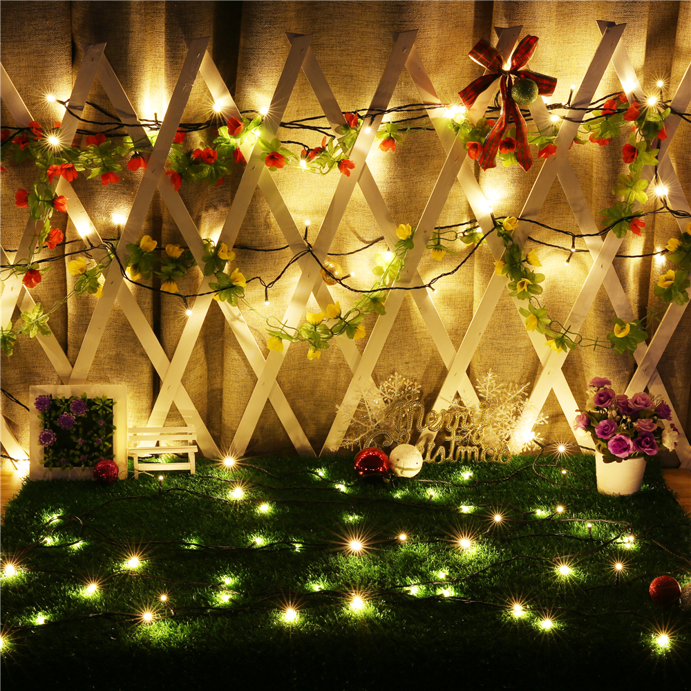 50M-24V-Low-Voltage-Light-String-250-Lights-Transparent-Wire-Holiday-String-Light-White--Warm-White--1943476-5