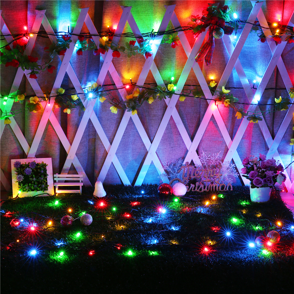 50M-24V-Low-Voltage-Light-String-250-Lights-Transparent-Wire-Holiday-String-Light-White--Warm-White--1943476-6