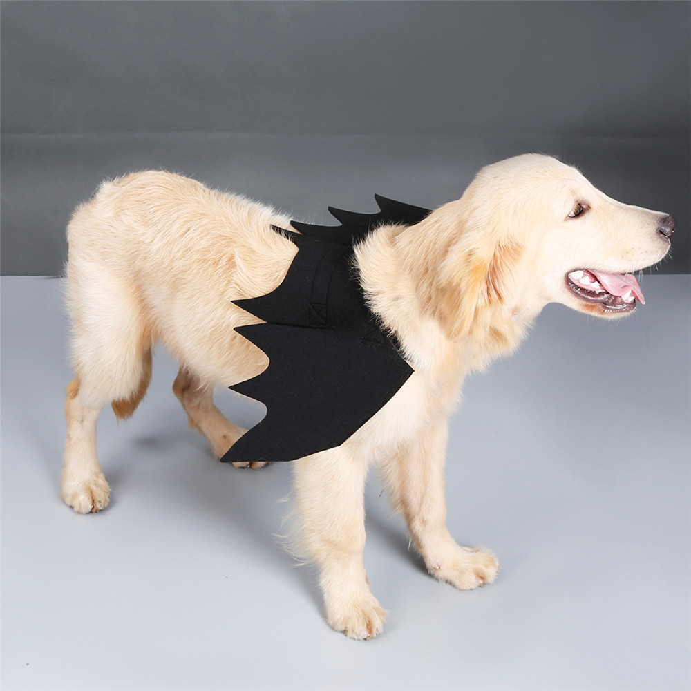 Halloween-Black-Bat-Wings-Cute-Party-Decoration-Toys-1358168-5