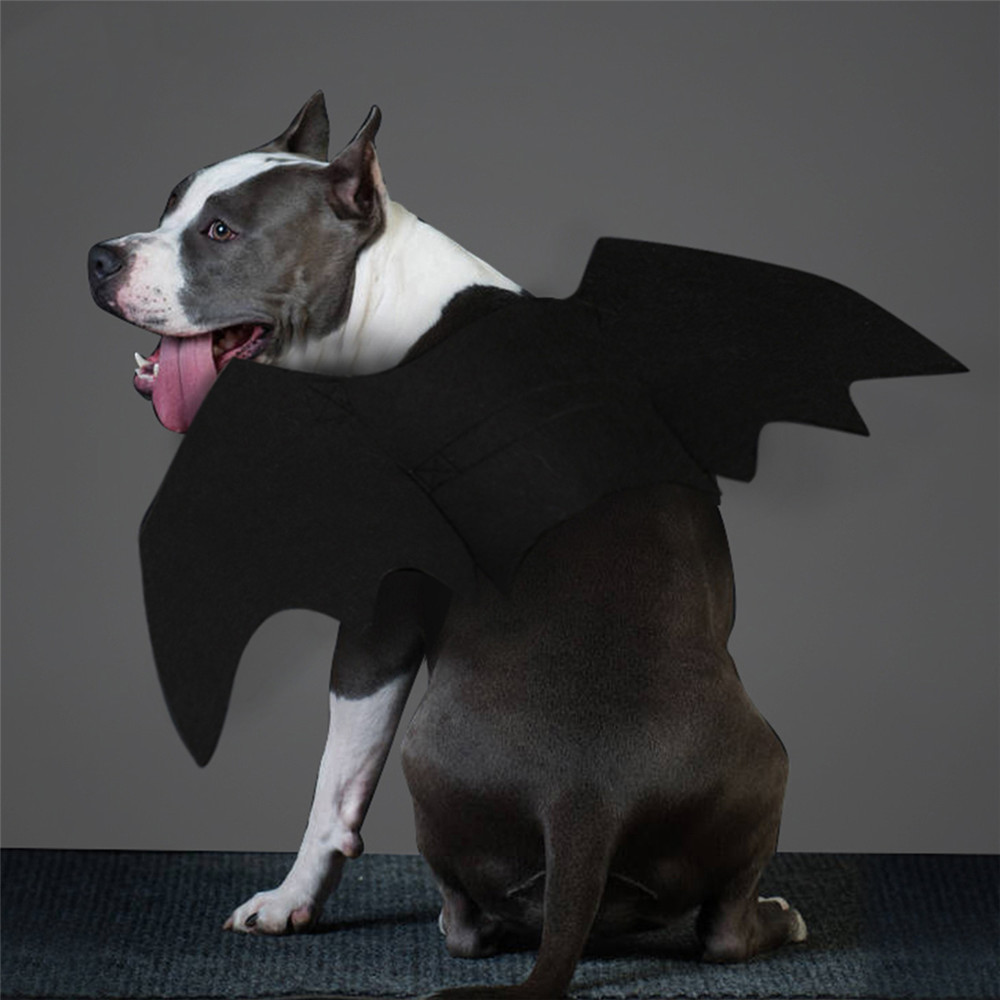 Halloween-Black-Bat-Wings-Cute-Party-Decoration-Toys-1358168-7