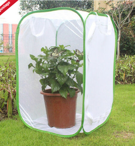 Green-Collapsible-Insect-Habitat-Cage-Butterfly-Mesh-Transparent-Surface-Portable-Zipper-Cage-Plant--1688452-3