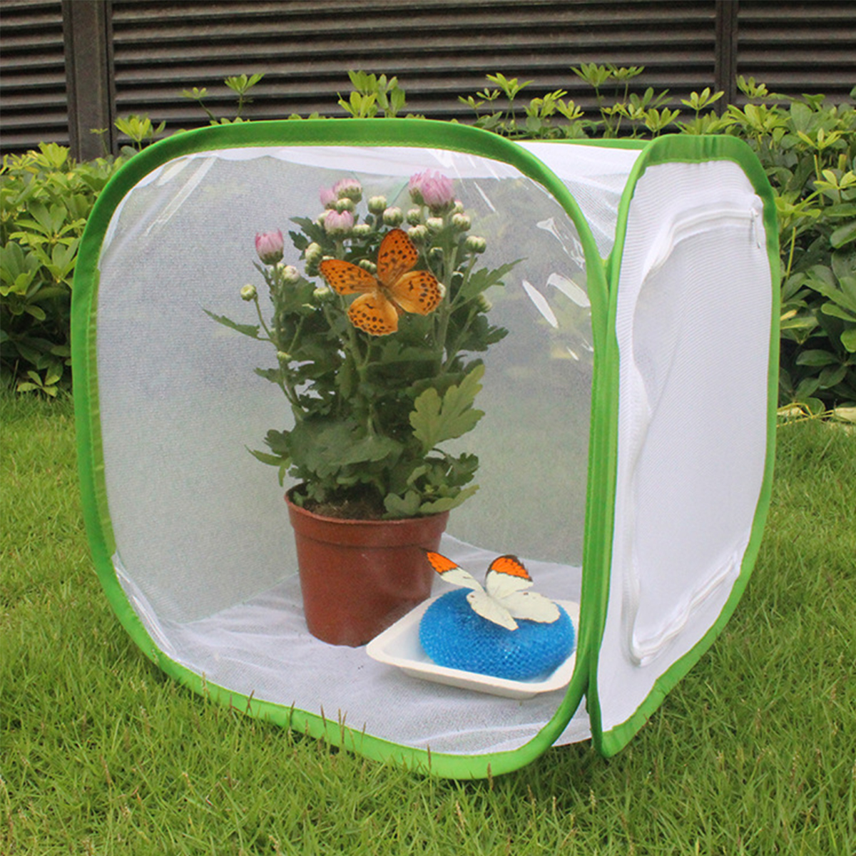 Green-Collapsible-Insect-Habitat-Cage-Butterfly-Mesh-Transparent-Surface-Portable-Zipper-Cage-Plant--1688452-4