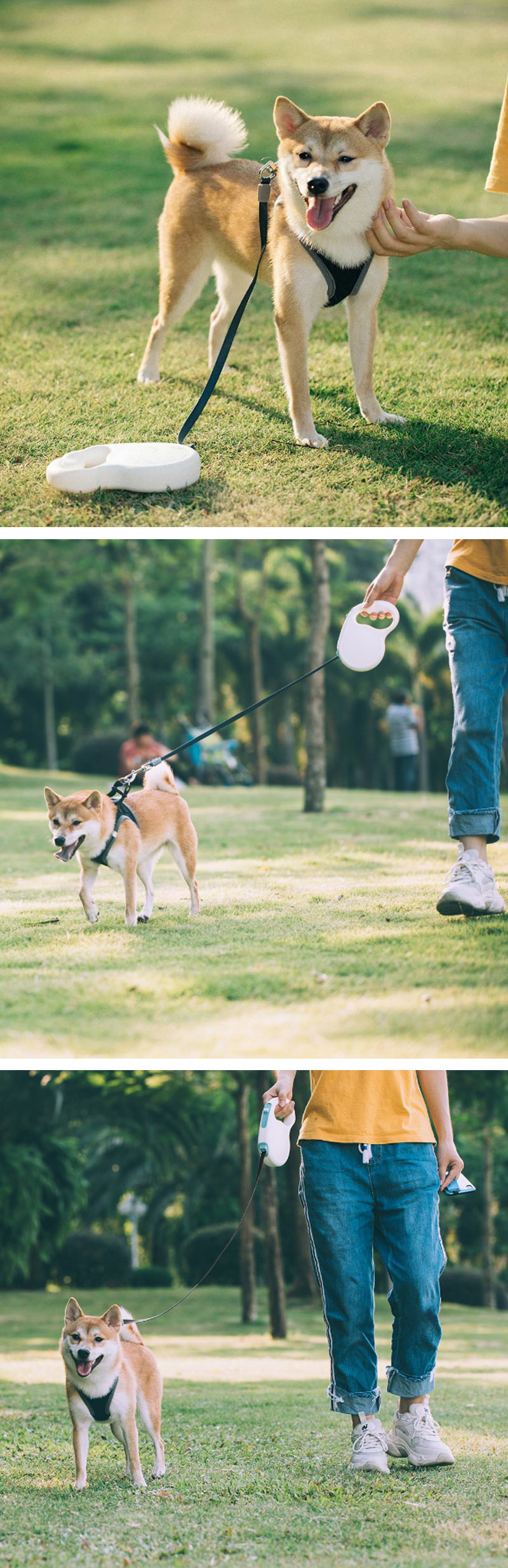 JordanJudy-5m-Extendable-Pet-Leash-Rope-From-Dog-Traction-Rope-Adjustable-Puppy-Chain-85kg-From-1581101-3