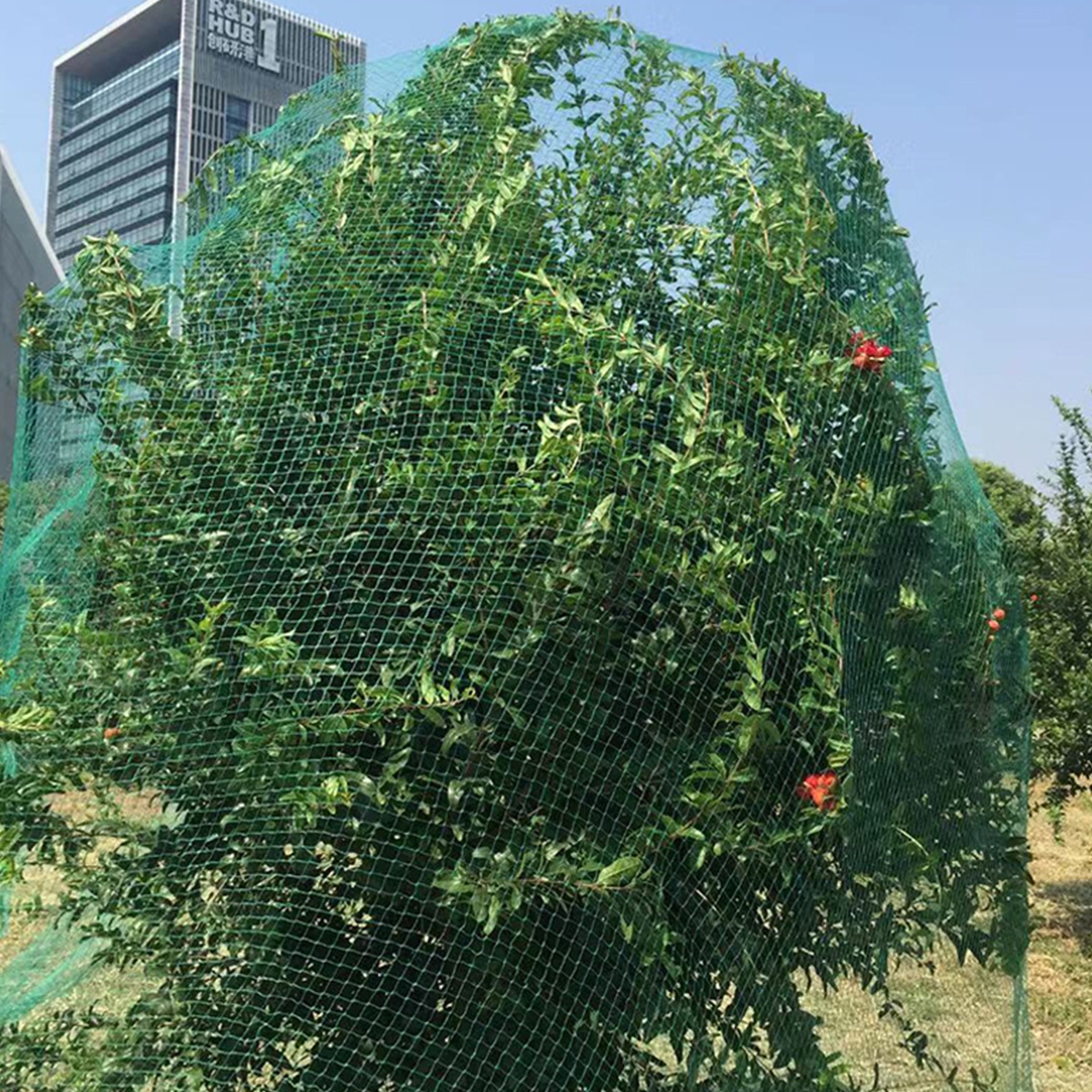 Large-Anti-Bird-Protect-Tree-Nylon-Net-Fruit-Crop-Plant-Garden-Pond-Netting-Mesh-1831837-5