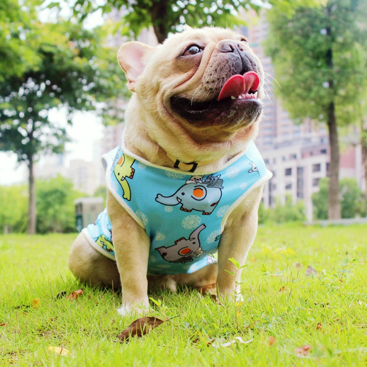 Pet Vest Comfortable Breathable Summer Cooling Clothes