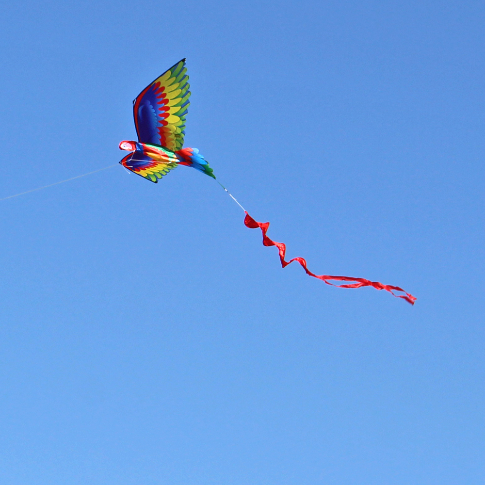 3D-Parrot-Kite-Flyer-Kite-with-100m-Noodle-BoardSpiral-Floating-Tail-Kids-Children-Adult-Beach-Trip--1826024-3