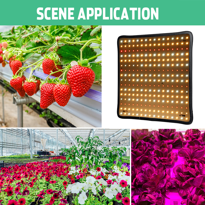 30cmx30cm-Spectrum-256LED-Grow-Light-Growing-Lamp-For-Hydroponics-Flower-1957504-8