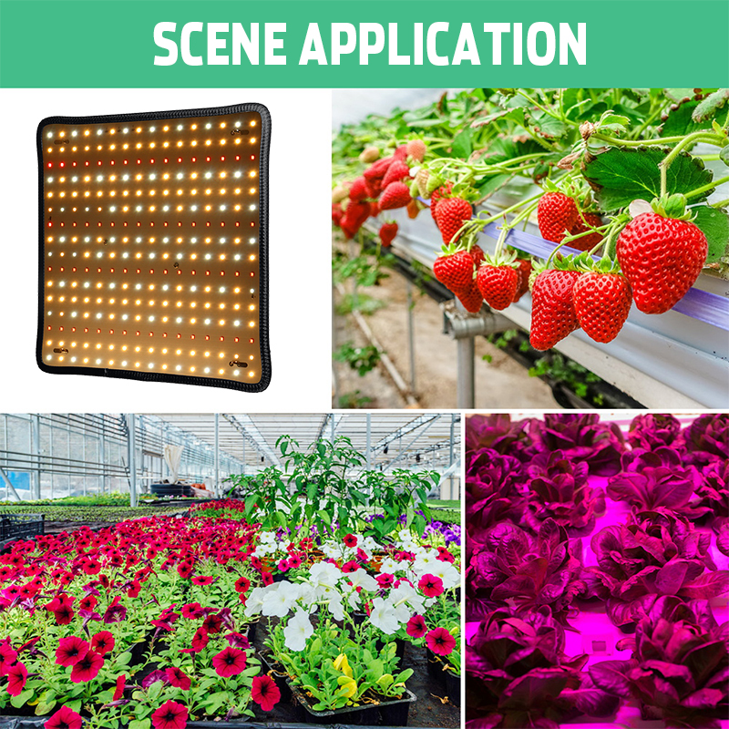 5000W-LED-Full-Spectrum-Plant-UV-Grow-Light-Veg-Growing-Lamp-Indoor-Hydroponic-1957648-3