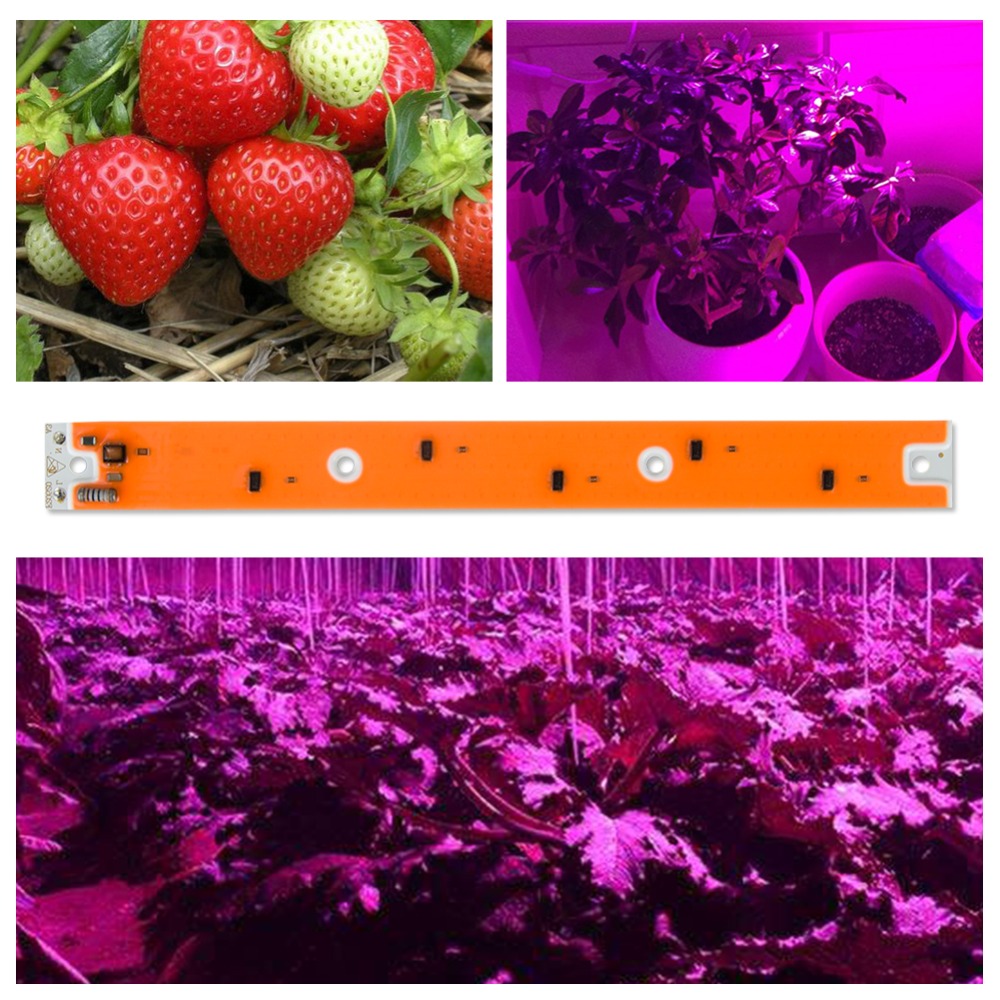 AC110V220V-30W-50W-80W-Full-Spectum-LED-COB-Chip-Grow-Light-Source-for-Flood-Iodine-tungsten-Lamp-1367768-10