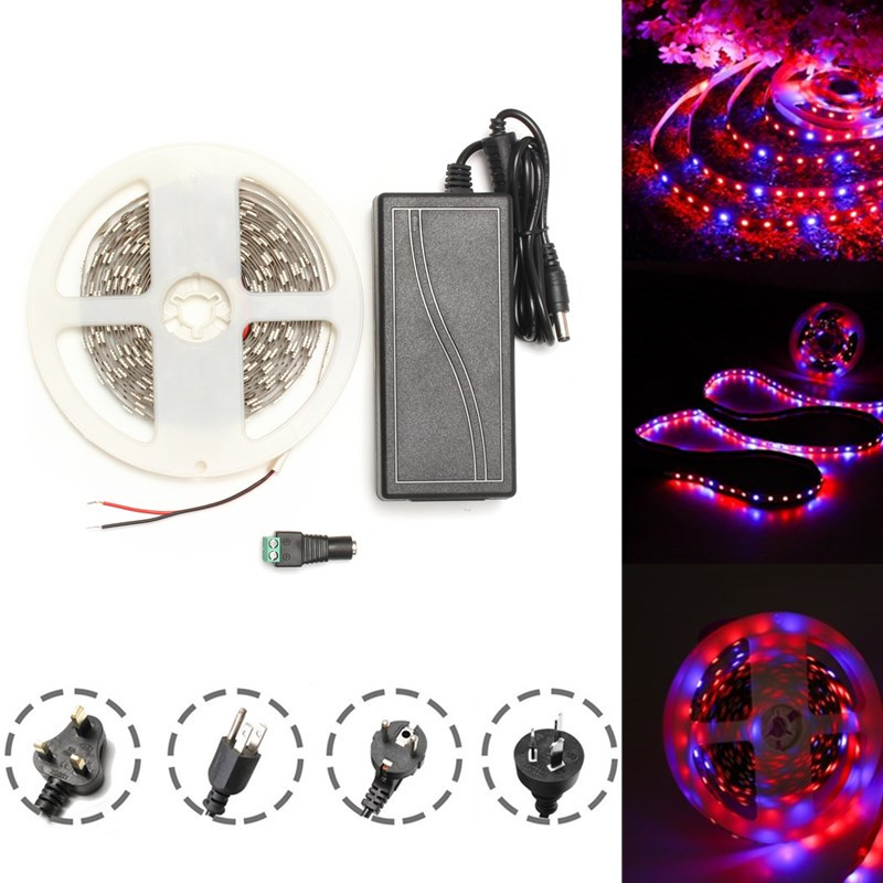 DC12V-5M-RedBlue-31-Waterproof-5050-Full-Spectrum-Grow-LED-Strip-Lights-kit-for-Plant-1282345-1