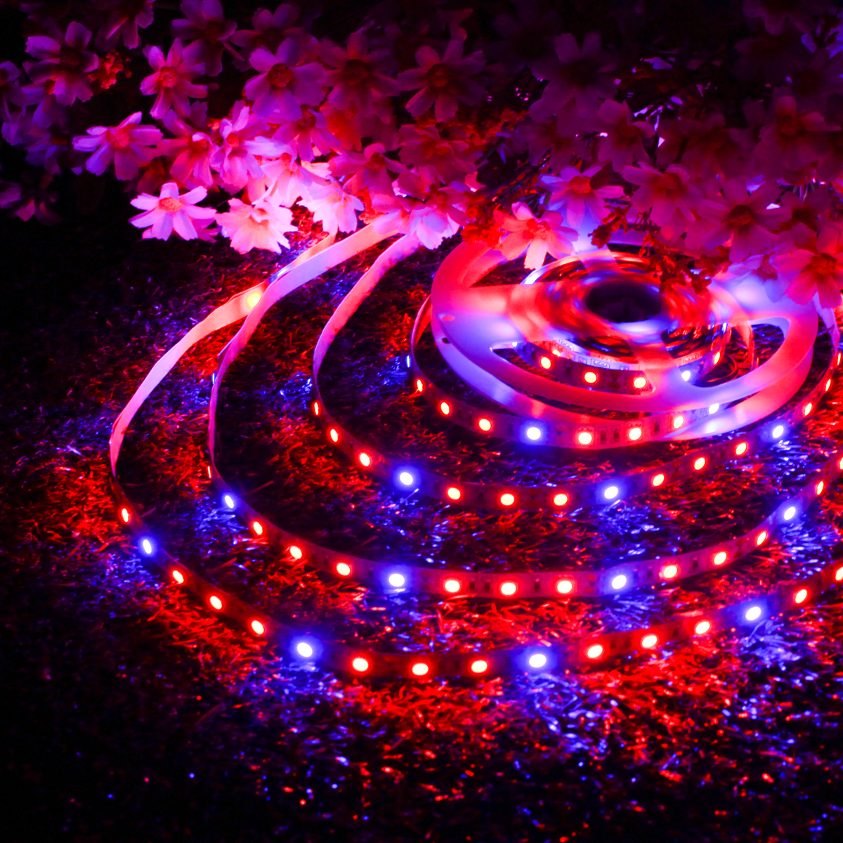 DC12V-5M-RedBlue-31-Waterproof-5050-Full-Spectrum-Grow-LED-Strip-Lights-kit-for-Plant-1282345-5