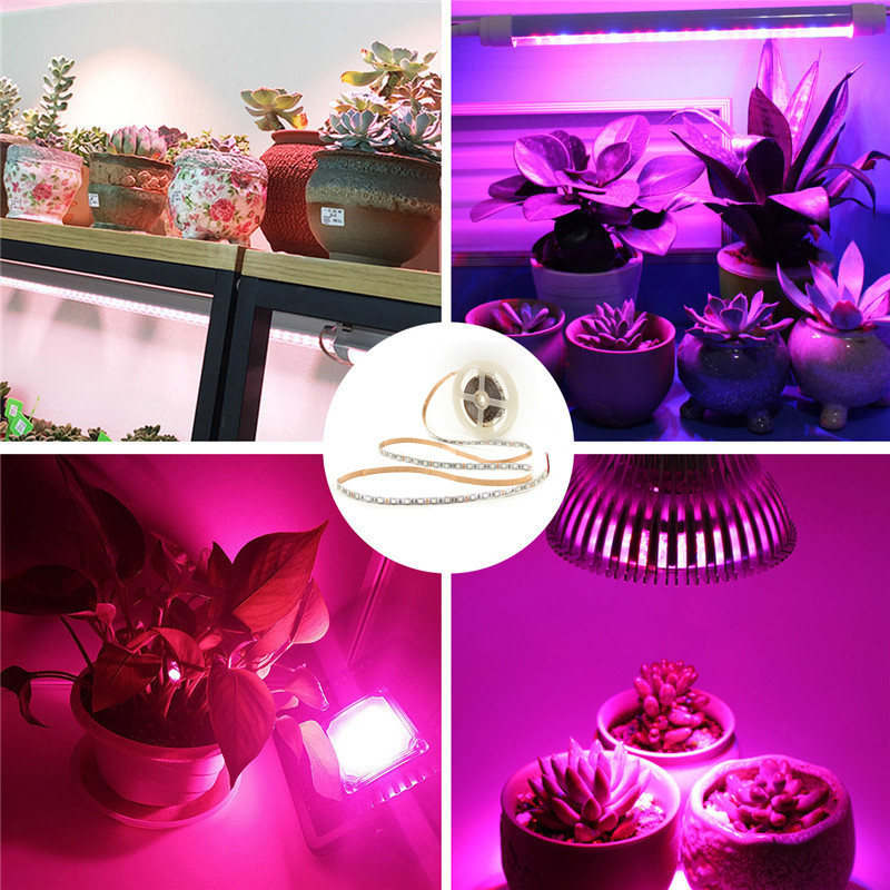 DC12V-5M-RedBlue-51-Non-waterproof-SMD5050-Full-Spectrum--LED-Strip-Grow-Light--Power-Supply-1282370-8