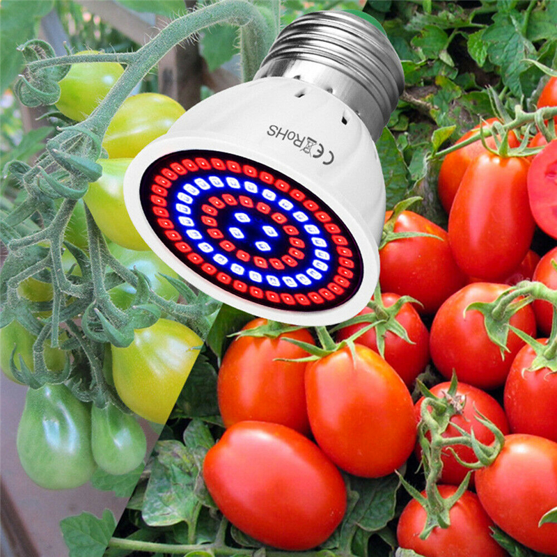 E27-LED-Plant-Growth-Light-486080-LED-Indoor-Hydroponic-Flowers-Seedlings-Grow-Light-Lamp-Bulb-For-V-1735728-9