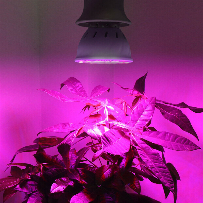 E27-LED-Plant-Growth-Light-486080-LED-Indoor-Hydroponic-Flowers-Seedlings-Grow-Light-Lamp-Bulb-For-V-1735728-10