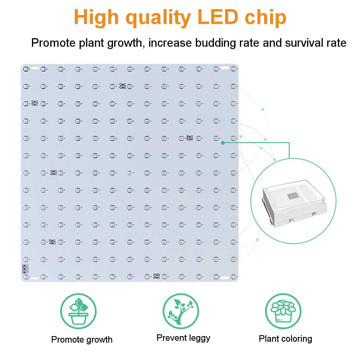 Ultra-Thin-81169LEDs-Plant-UV-Grow-Light-Full-Spectrum-Veg-Lamp-For-Indoor-Hydroponic-Plant-Flower-1-1738602-3