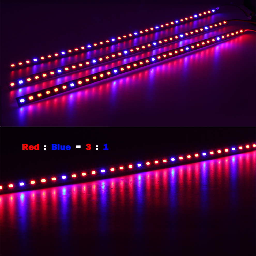 10PCS-50CM-SMD5630-RedBlue-31-41-51-LED-Grow-Rigid-Bar-Strip-for-Hydroponics-Greenhouse-DC12V-1242353-5